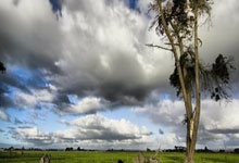 勒沃库森对阵斯图加特，这场德甲对决有哪些看点？